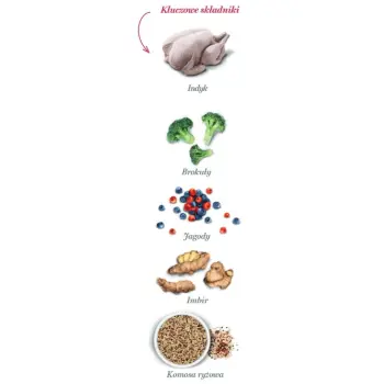 Amanova Dog Adult Mini Obesity Turkey Delight - indyk 2kg