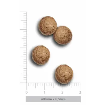 Amanova Dog Adult Mini Obesity Turkey Delight - indyk 2kg