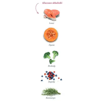 Amanova Dog Adult Mini Sensitive Salmon Deluxe - łosoś 800g