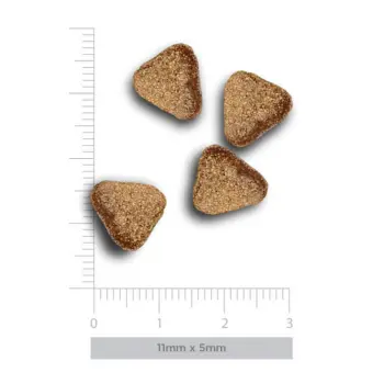 Amanova Dog Adult Mini Digestive Divine Rabbit - królik 800g