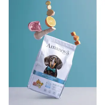 Amanova Dog Adult Mini Exigent Iberian Pork - wieprzowina 800g