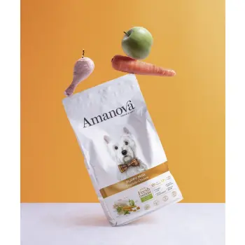 Amanova Dog Puppy Mini Exquisite Chicken - kurczak 2kg