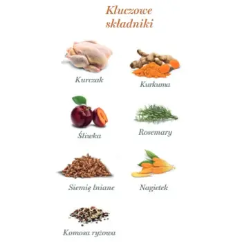 Amanova Dog Adult Exquisite Chicken - kurczak saszetka 100g [P03]