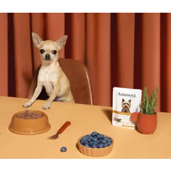 Amanova Dog Adult Exquisite Chicken - kurczak saszetka 100g [P03]