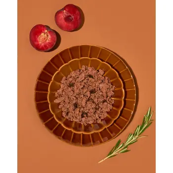 Amanova Dog Adult Exquisite Chicken - kurczak saszetka 300g [P03]