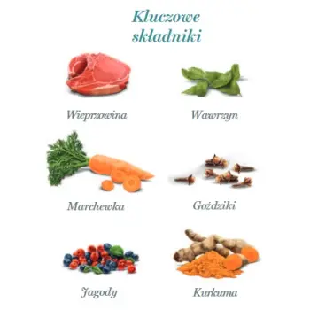 Amanova Dog Adult Iberian Pork - wieprzowina saszetka 300g [P04]