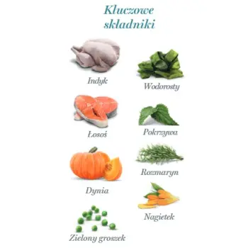 Amanova Dog Adult Tasty Salmon & Turkey - łosoś i indyk saszetka 100g [P06]