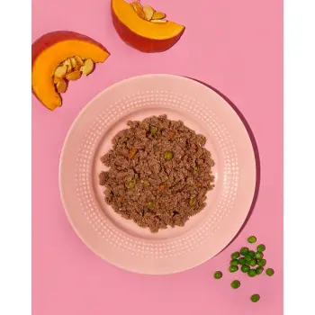 Amanova Dog Adult Tasty Salmon & Turkey - łosoś i indyk saszetka 300g [P06]