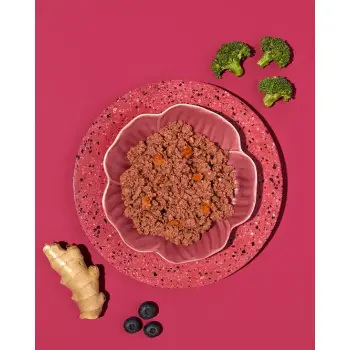 Amanova Dog Adult Turkey Delight - indyk saszetka 100g [P07]