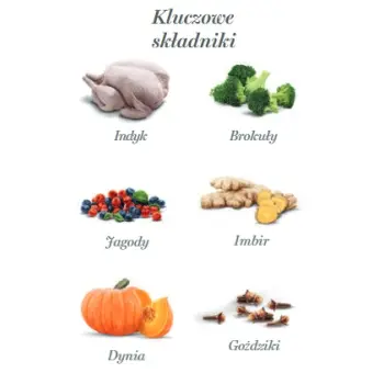 Amanova Dog Adult Turkey Delight - indyk saszetka 100g [P07]