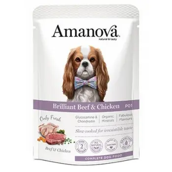 Amanova Dog Adult Brilliant Beef & Chicken - wołowina i kurczak saszetka 300g [P01]