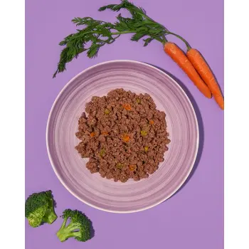 Amanova Dog Adult Brilliant Beef & Chicken - wołowina i kurczak saszetka 300g [P01]