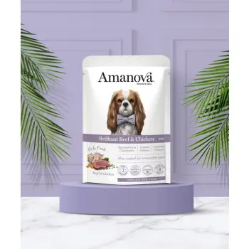 Amanova Dog Adult Brilliant Beef & Chicken - wołowina i kurczak saszetka 300g [P01]