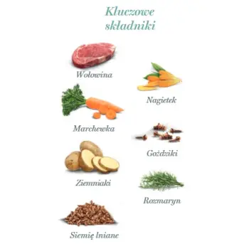 Amanova Dog Adult Irresistible Beef - wołowina saszetka 300g [P02]