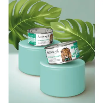Amanova Cat Chicken & Shrimps - kurczak i krewetki w galaretce puszka 70g [06]