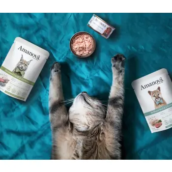 Amanova Cat Brilliant Beef & Chicken - wołowina i kurczak saszetka 85g [P14]