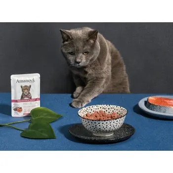 Amanova Cat Tasty Salmon & Turkey - łosoś i indyk saszetka 85g [P11]