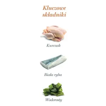 Amanova Cat Kitten Chicken & Fish - kurczak i biała ryba saszetka 85g [P09]