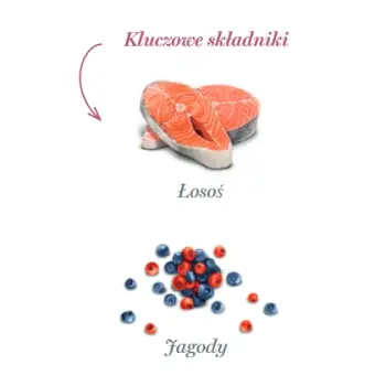 Amanova Dog Salmon Bites - łosoś 100g
