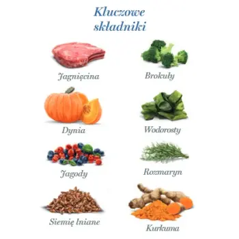 Amanova Dog Adult Delicious Lamb - jagnięcina saszetka 100g [P15]