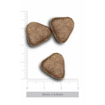 Amanova Dog Adult Sensitive Delicious Lamb - jagnięcina 10kg