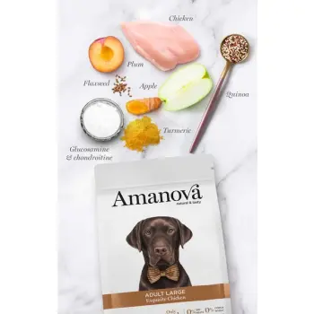 Amanova Dog Adult Large Exquisite Chicken - kurczak 12kg