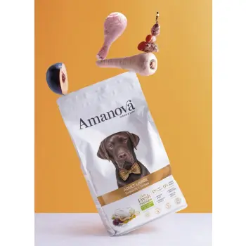 Amanova Dog Adult Large Exquisite Chicken - kurczak 12kg