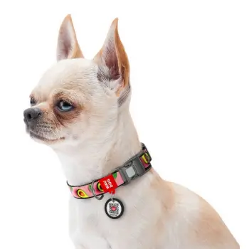 Collar WauDog Nylon Obroża nylonowa z QR-paszportem, plastikowy fastex, wzór AWOKADO NA RÓŻU, M 20mm/28-40cm