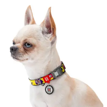 Collar WauDog Nylon Obroża nylonowa z QR-paszportem, plastikowy fastex, wzór FUTRZANE POTWORY, S 15mm/25-35cm