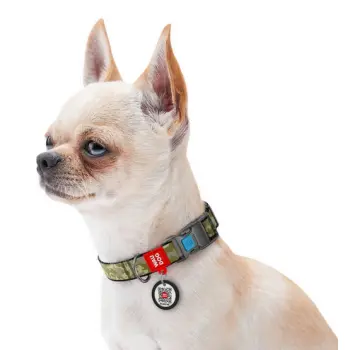 Collar WauDog Nylon Obroża nylonowa z QR-paszportem, plastikowy fastex, wzór MILITARY, M 20mm/28-40cm