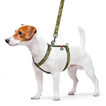 Collar WauDog Nylon Szelki nylonowe anatomiczne w kształcie litery H, z QR-paszportem, plastikowy fastex, wzór MILITARY, rozmiar L 25mm