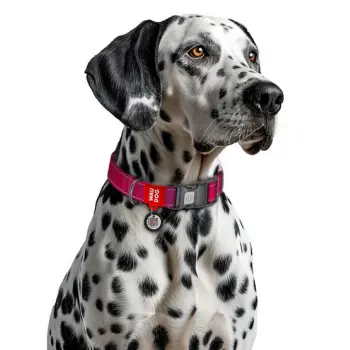 Collar WauDog Nylon Mono Obroża nylonowa odblaskowa z QR-paszportem, plastikowy fastex, S 15mm/25-35cm różowa