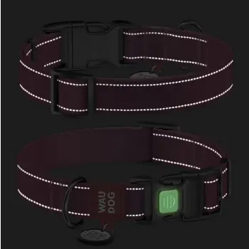 Collar WauDog Nylon Mono Obroża nylonowa odblaskowa z QR-paszportem, plastikowy fastex, L 25mm/33-49cm niebieska