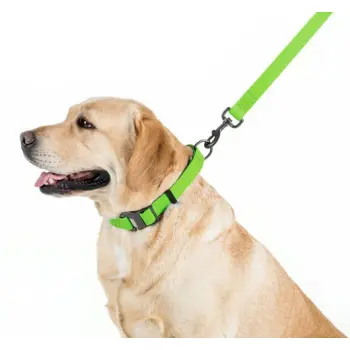 Collar Waterproof Smycz wodoodporna L-XXL 25mm/183cm jasnozielona