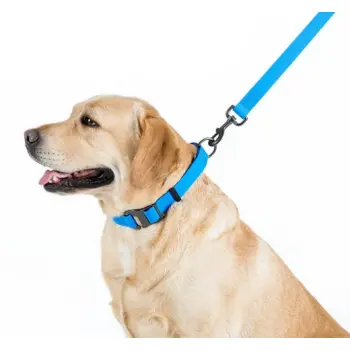 Collar Waterproof Smycz wodoodporna L-XXL 25mm/183cm niebieska