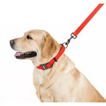 Collar Waterproof Smycz wodoodporna M 20mm/183cm czerwona