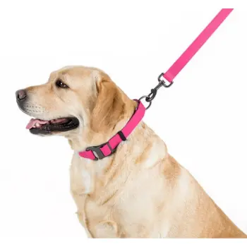 Collar Waterproof Smycz wodoodporna S 15mm/183cm różowa
