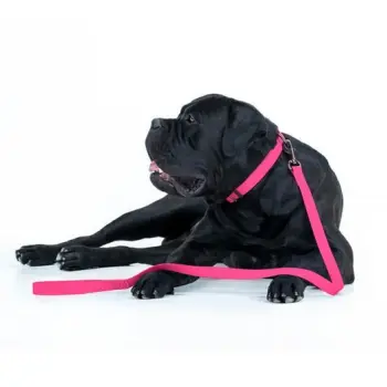 Collar Waterproof Smycz wodoodporna S 15mm/183cm różowa