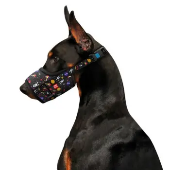 Collar WauDog Nylon Kaganiec, plastikowy fastex, wzór NASA, rozmiar 4 [35-43cm]