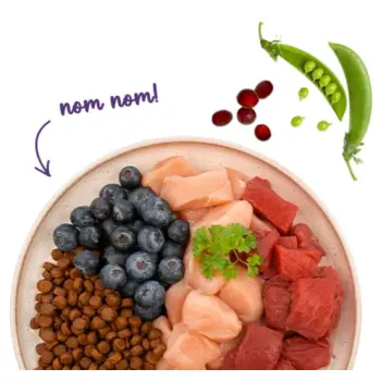 Sanabelle Adult Strauss - ze strusiem 400g