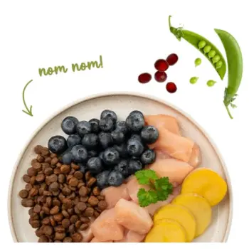 Sanabelle Adult No Grain Huhn - bezzbożowa z kurczakiem 400g