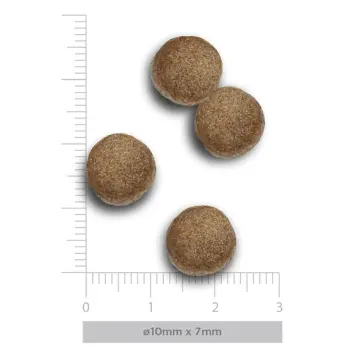 Amanova Dog Puppy Medium Exquisite Chicken - kurczak 12kg