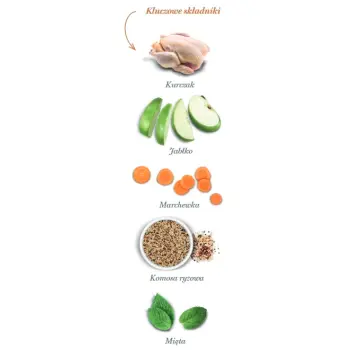 Amanova Dog Puppy Large Exquisite Chicken - kurczak 12kg