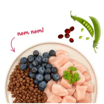 Sanabelle Adult Huhn z kurczakiem 2kg