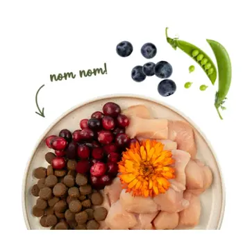 Sanabelle Adult Grande 2kg