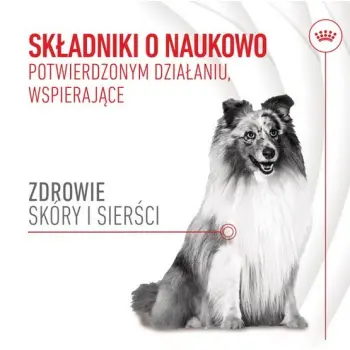 Royal Canin Skin & Coat Chews Adult Supplements 240g