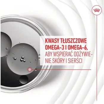 Royal Canin Skin & Coat Chews Adult Supplements 240g