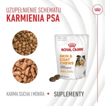 Royal Canin Skin & Coat Chews Adult Supplements 240g