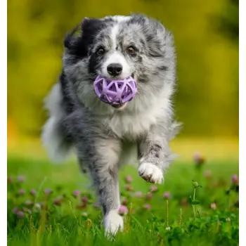 Toby's Choice Spiderweb Ball Medium [TC10027]