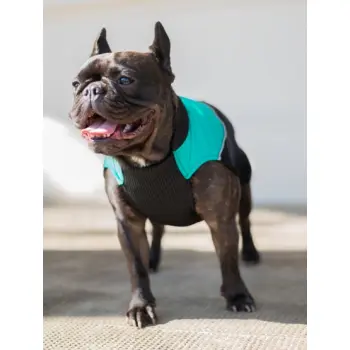 Chaba Ubranko regulowane Wear Magnifique L zielone